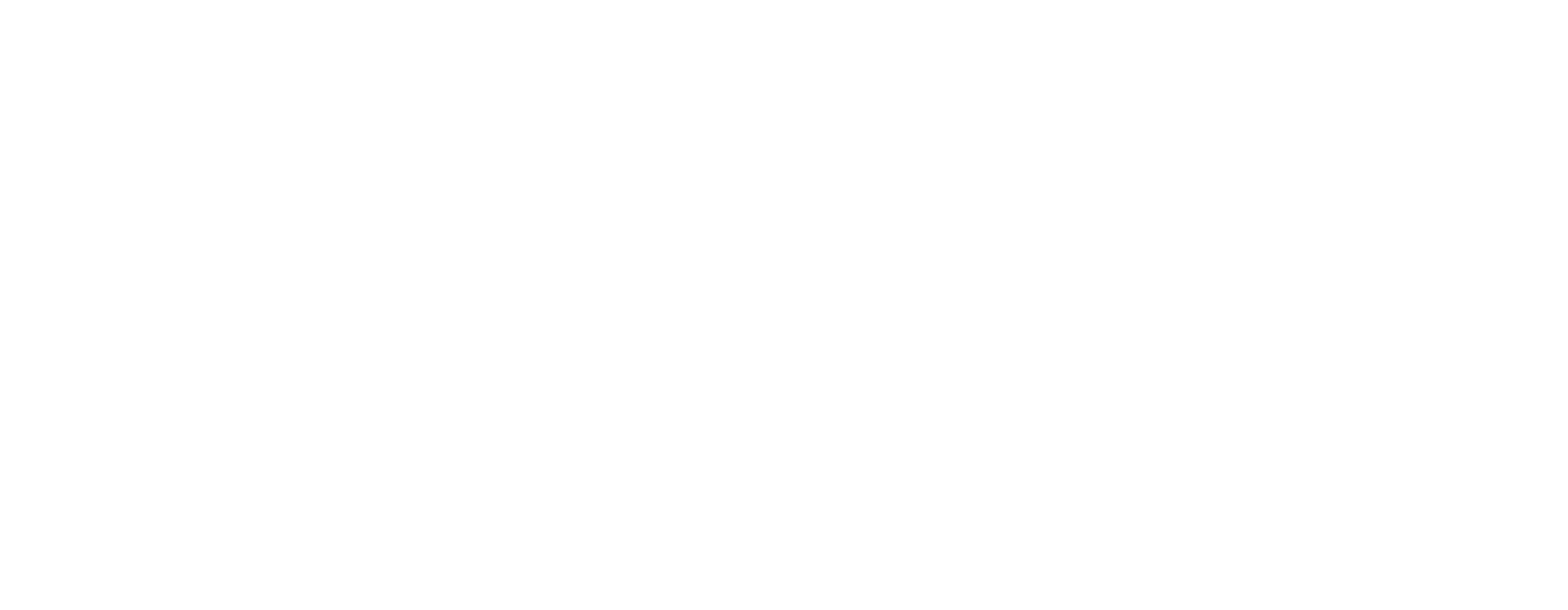 USDC Logo